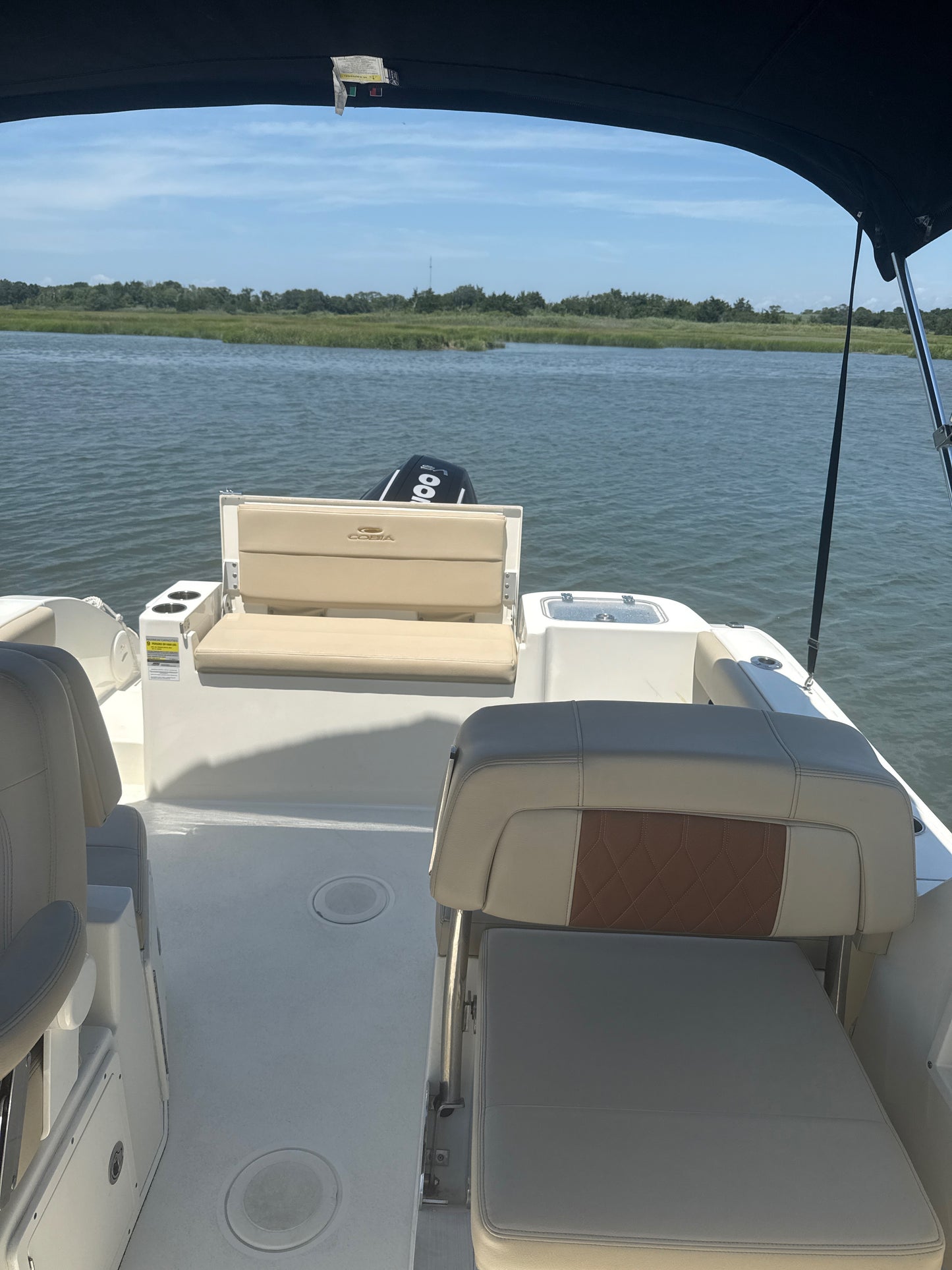 Cobia 220DC