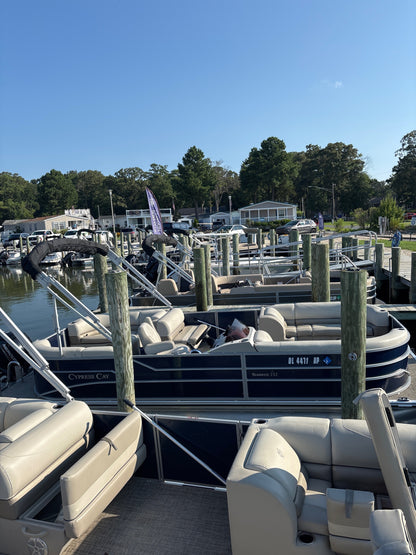 2023 Cypress Cay Seabreeze 232 Pontoon