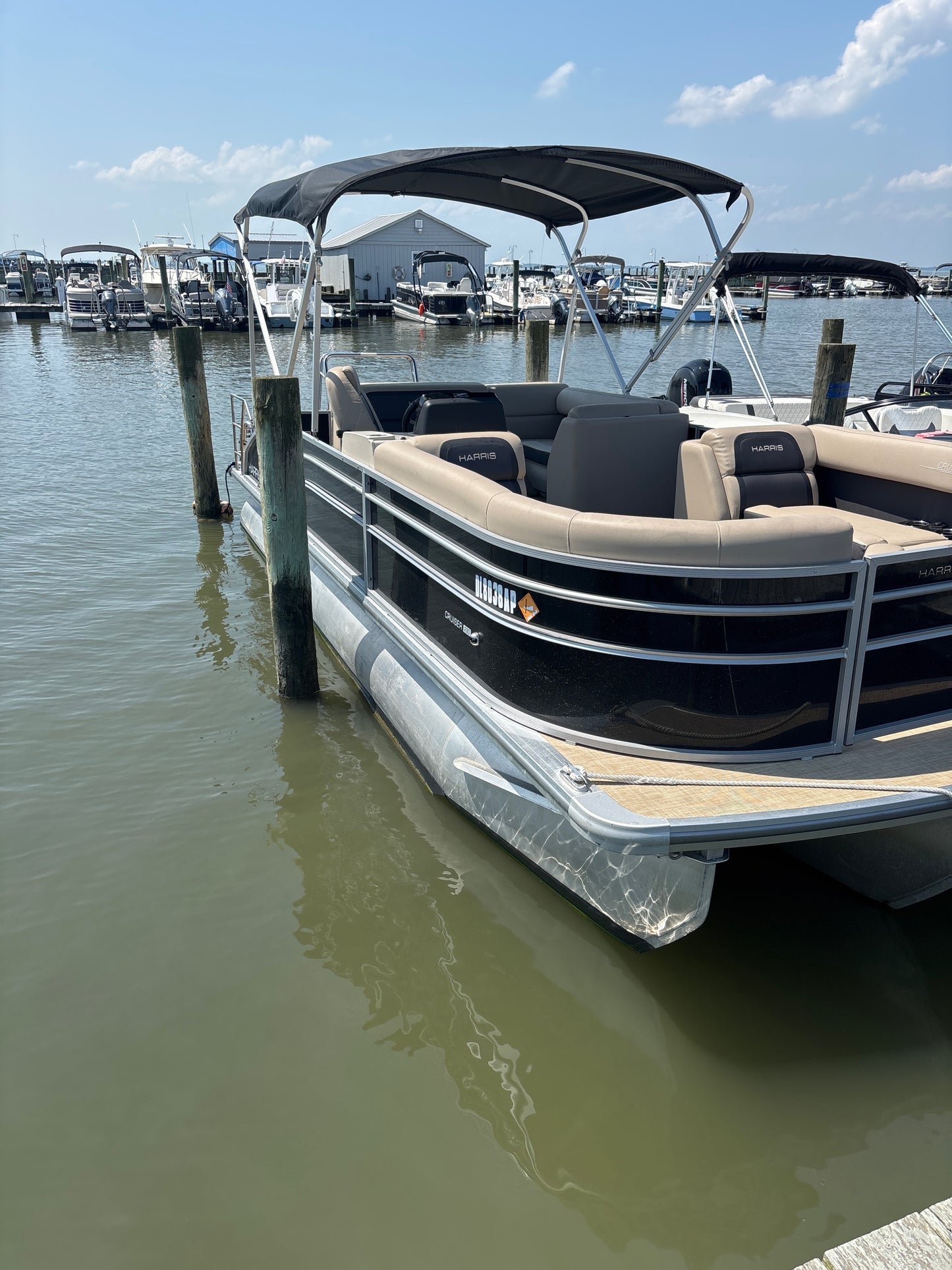 2024 Harris HCX23 Tritoon