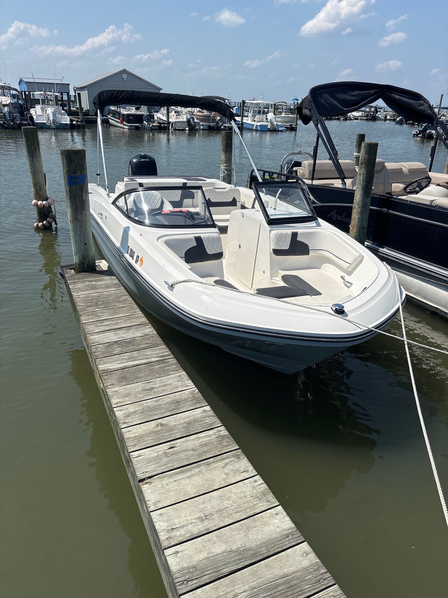 2024 Bayliner VR6 OB