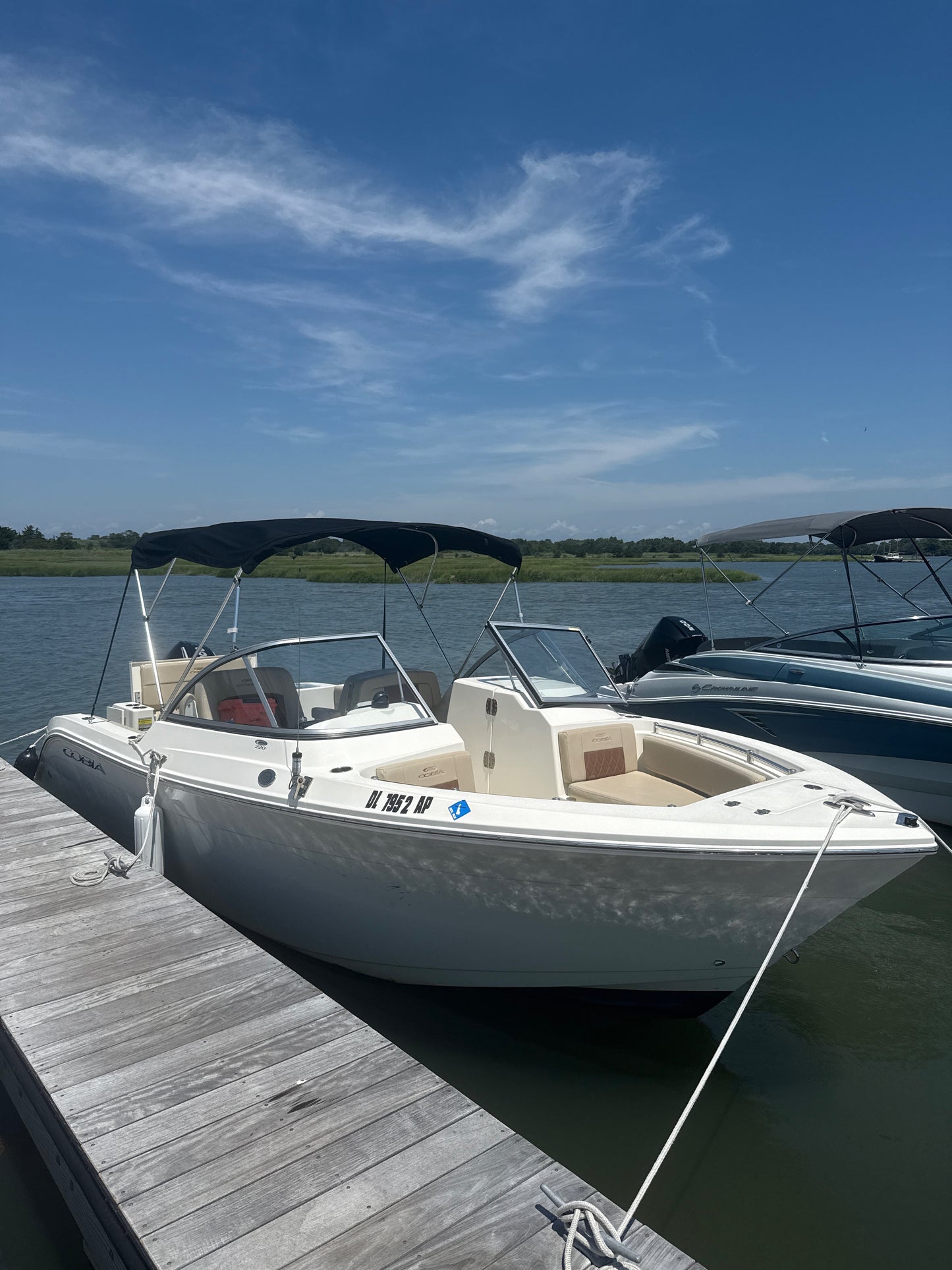 Cobia 220DC