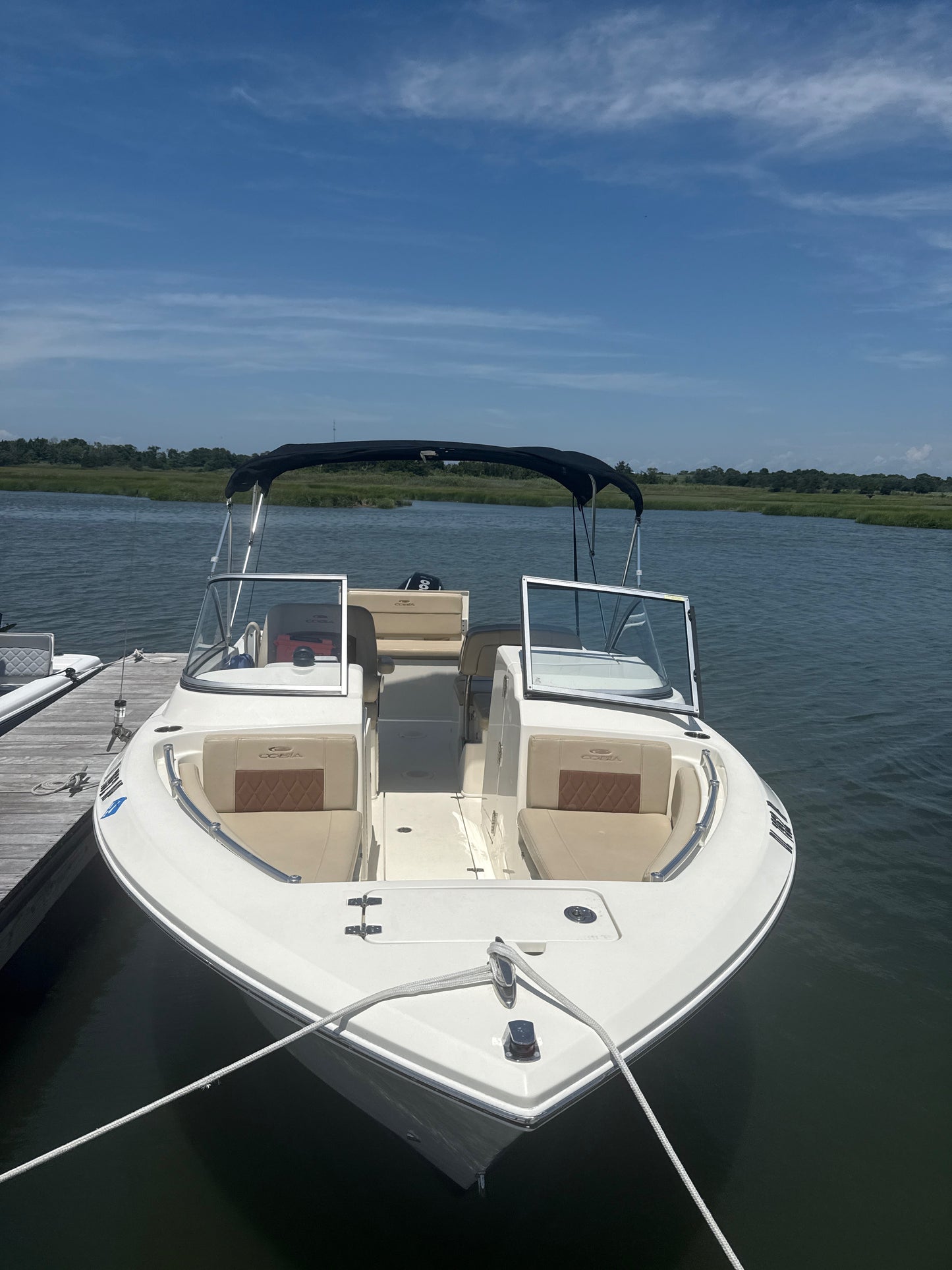 Cobia 220DC